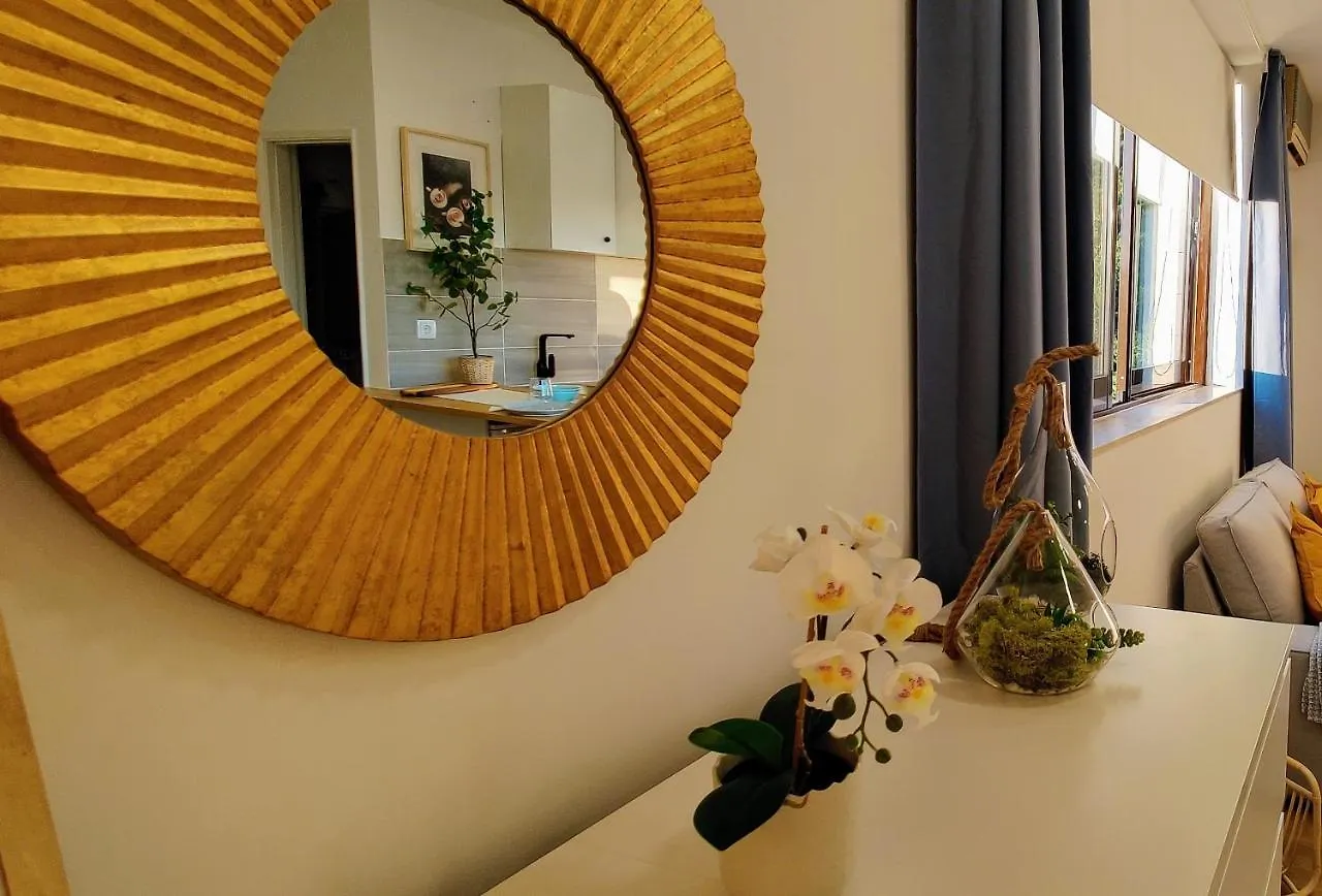 Stylish And Elegant Studio - Best View And Location In Coimbra Downton