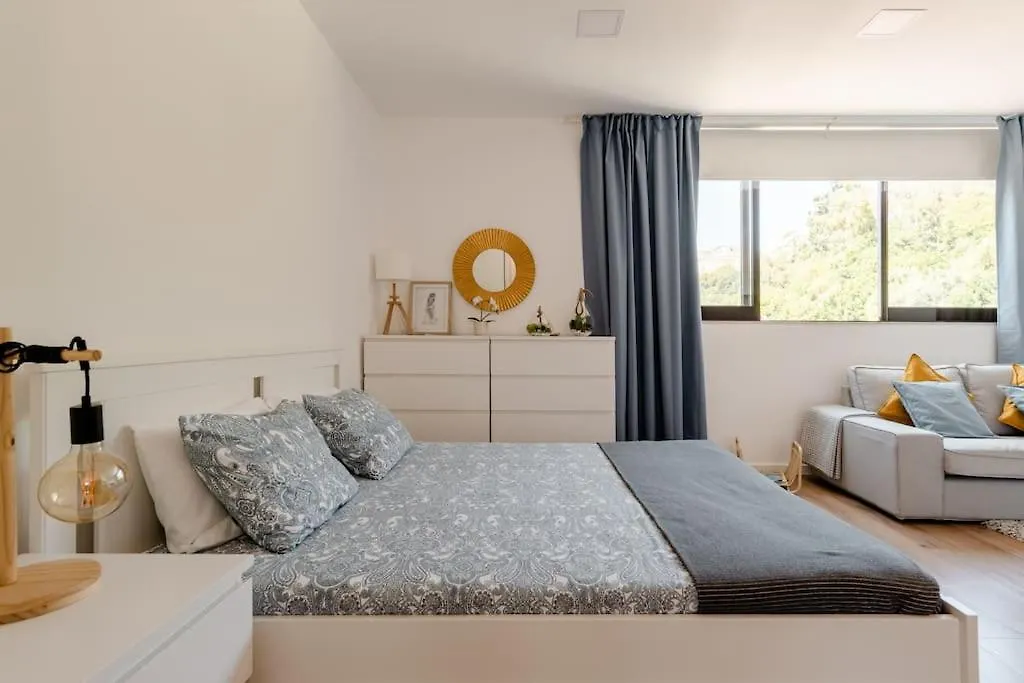 Stylish And Elegant Studio - Best View And Location In Coimbra Downton location